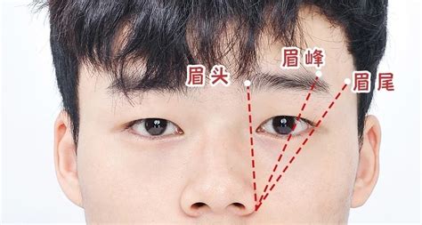 男人眉毛|男生眉毛類型有哪些？自然眉、一字眉⋯修眉技巧、眉。